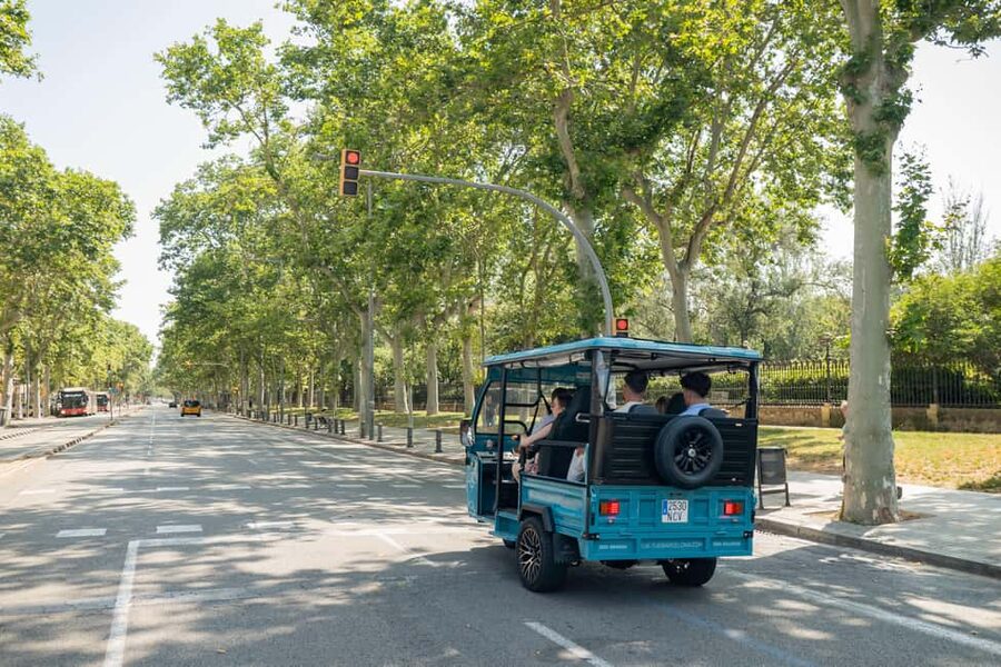 1,5-Hour Barcelona City & Beach Private Tuk-Tuk Tour - Starting at Carrer de la Diputació 338
