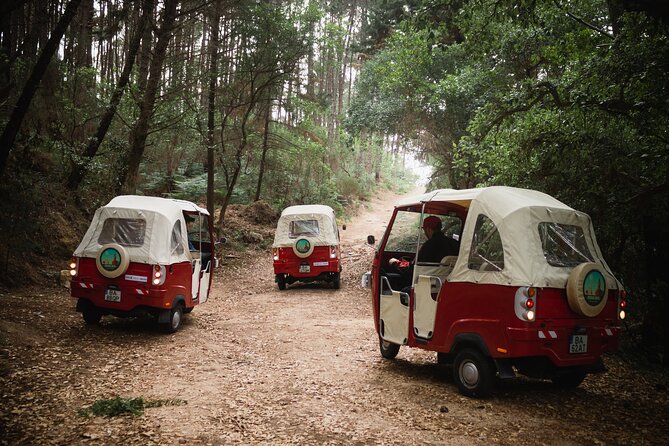 1-Hour Guided Tuk-Tuk Tour in Sintra - Biester Palace and Sintra’s romantic side