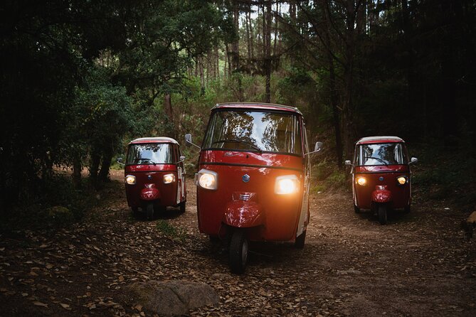 1-Hour Guided Tuk-Tuk Tour in Sintra - Passing the gates of Castelo dos Mouros