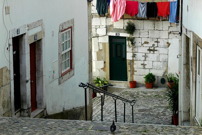 1 Hr City Tuk Tuk / Electric Car Tour of Lisbon - Senhora do Monte, the highest view on the route