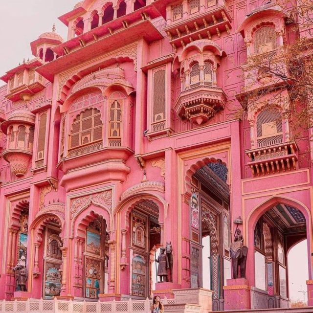 2 Days pink city jaipur sightseeing tour by tuk tuk - Monkey Temple at Galwar Bagh