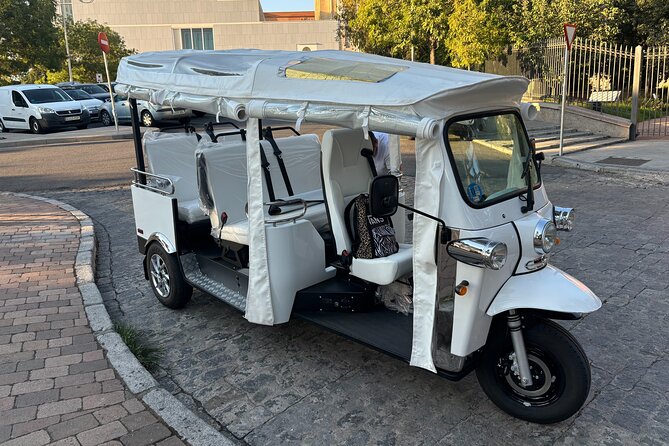 2 Hour Private Panoramic Tuk Tuk Tour - Puerta de Toledo and Madrid’s historic gates