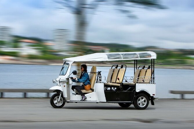 2 Hour Private Tuktuk Tour in Porto to Monastery and Cellars - Serra do Pilar and the view over two cities