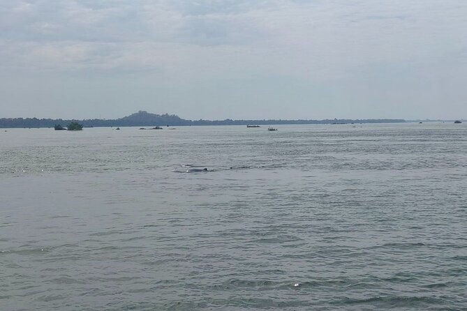 4 hours taking tuk tuk to see Mekong dolphins and countryside - Why Kratie’s dolphins are worth the trip