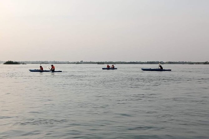4 hours taking tuk tuk to see Mekong dolphins and countryside - Is the $20 price good value?