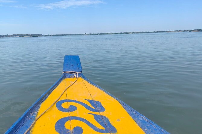 4 hours taking tuk tuk to see Mekong dolphins and countryside - Starting in Kratie by tuk-tuk