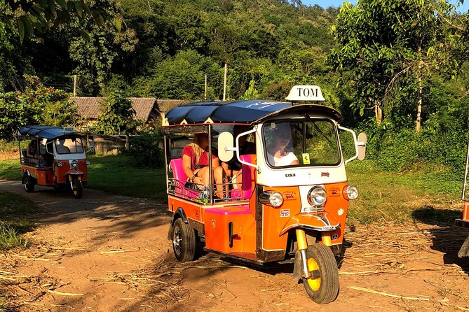 5 Day Tuk Tuk Adventure in Chiang Mai - with driver - Day 4: Leave the tuk tuks behind for a forest walk