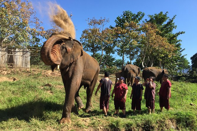 5 Day Tuk Tuk Adventure in Chiang Mai - with driver - Day 1: Mae Wang National Park and your first rural base
