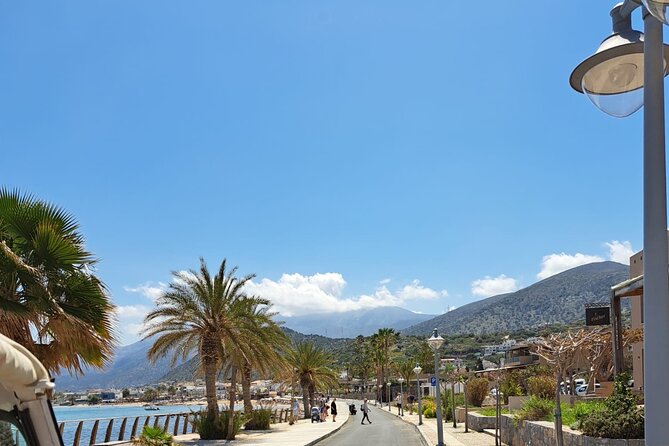 7 Villages Tuk Tuk Tour in Crete with Free Time in Sissi - The olive oil, honey, and raki tasting