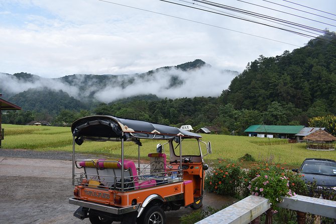 A stunning 11 Day Tuk Tuk Adventure in Northern Thailand - with driver - Day 2: Elephants and the Mae Sapok valley