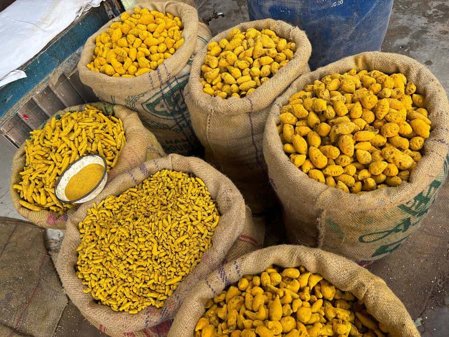 Agra: Street Food Tour with Spice Market on Tuk-Tuk Ride - Samosas, kachori, and the sweeter side of Agra