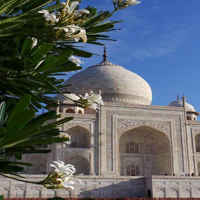 Agra: Taj Mahal Guided Tour with Tuk-Tuk - Comfort, timing, and practical limits