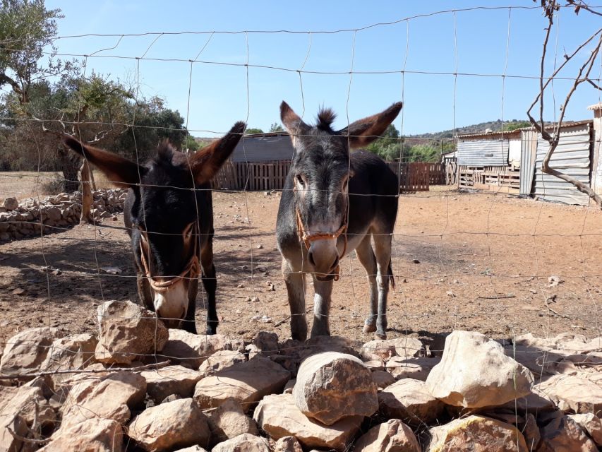 Albufeira Countryside Tuk Tuk Tour - Key points at a glance