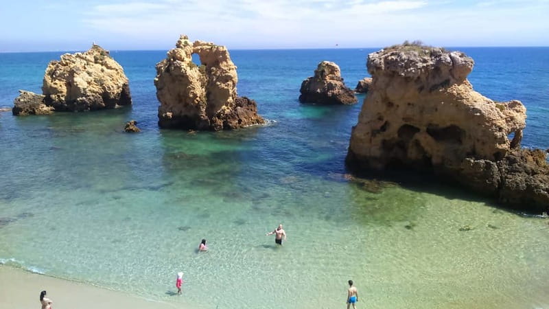 Albufeira: Guided Tour by Tuk-Tuk - The marina, fishing dock, and Albufeira’s working side