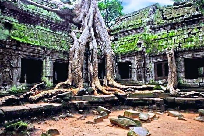 Amazing full day TUKTUK tour - A private tuk-tuk day through Angkor