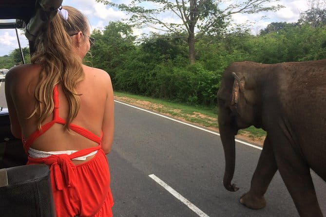 Amazing Tuk-Tuk Day Tour in Ella - Ravana Falls is an easy scenic pause