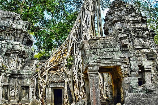 Angkor Wat Private Tour in a Tuk Tuk - Ta Prohm, where trees and ruins share the stage