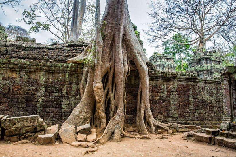 Angkor Wat Small Tour With Private Tuk Tuk - Why a private tuk tuk makes sense
