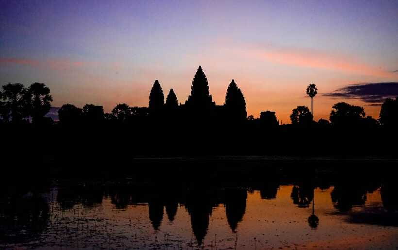 Angkor Wat Sunrise Private Tuk-Tuk Guided Tour - Ta Prohm and the temple reclaimed by trees