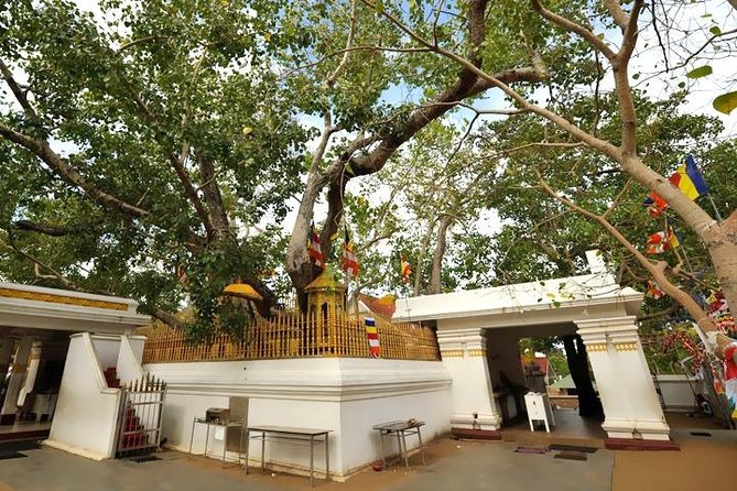 Anuradhapura: 14 Ancient City Sites Tuk Tuk Tour - Dutugamunu’s monuments and Sri Maha Bodhi