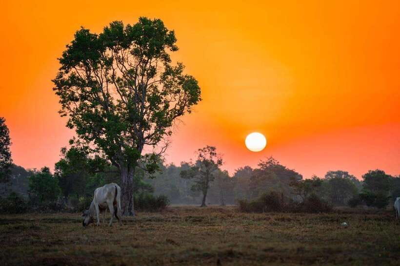 Authentic Siem Reap: Tuk Tuk Countryside and Sunset Tour - Leaving Siem Reap by tuk tuk