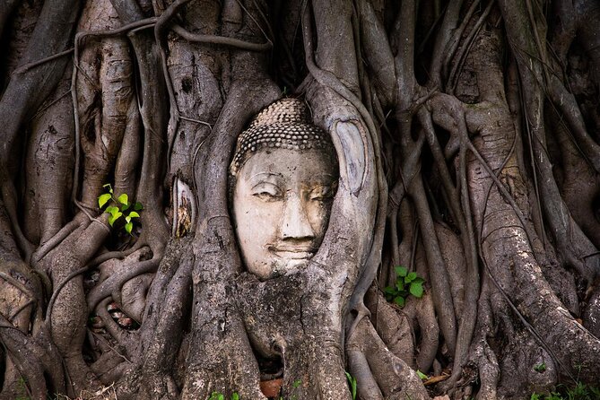 Ayutthaya Funky Frogy Tuk Tuk Experience With Famous Temple - Key points to know before booking