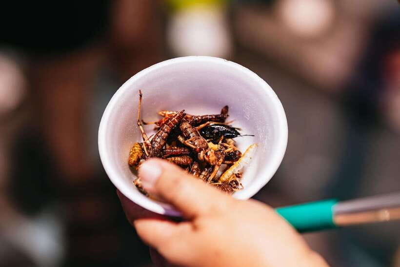 Bangkok: Michelin Guide Street Food Tour by Tuk Tuk - Is $20 good value?