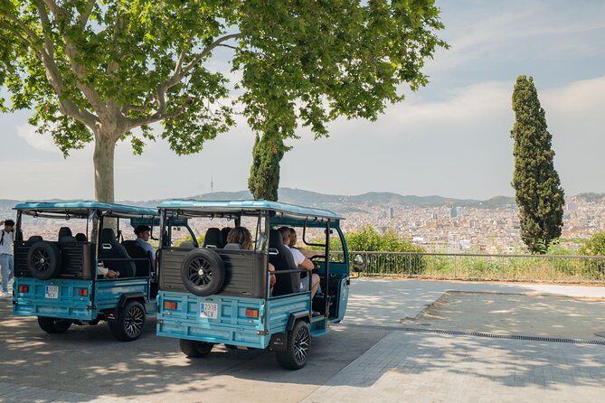 Barcelona 2 Hours Private Tuk-Tuk Tour - Montjuïc in a fast ten-minute stop
