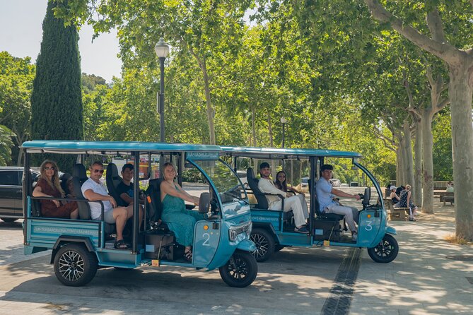 Barcelona 2 Hours Private Tuk-Tuk Tour - Parc de la Ciutadella and the Arc de Triomf