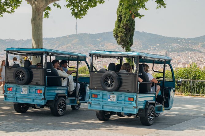 Barcelona Panoramic Private Tuk Tuk Tour - Key points to know before booking