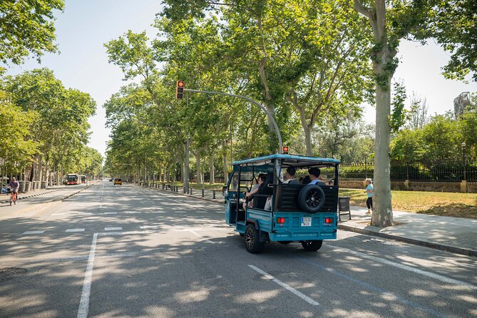 Barcelona Panoramic Private Tuk Tuk Tour - Sagrada Família, Casa Batlló, and the value of commentary