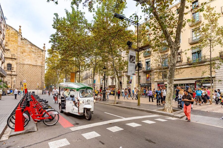 Barcelona: Private City Tour by Eco Tuk Tuk - Casa Milà and Casa Batlló on Passeig de Gràcia