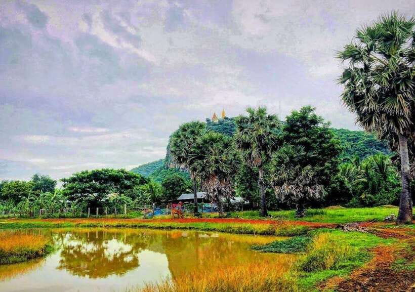 Battambang: Bamboo Train, Bat Cave, Killing Cave by Tuk Tuk - Timing the final stop at Bat Cave