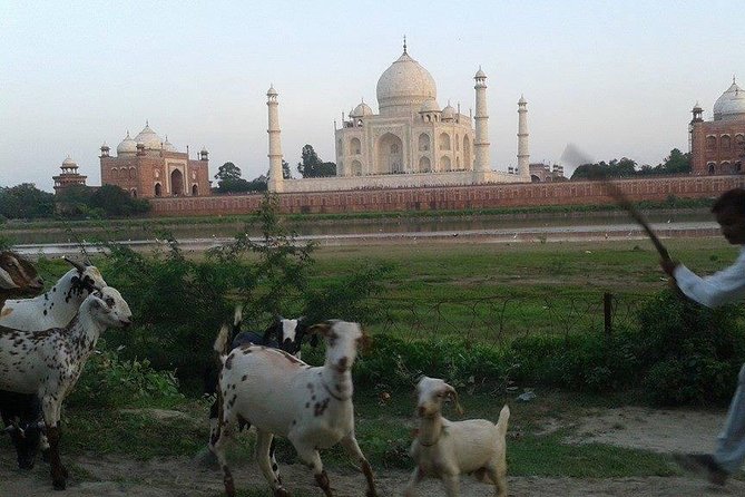 Behind the Taj Mahal with Sunrise or Sunset view by Tuk Tuk Ride - The first 15 minutes: pickup and the ride toward the Taj