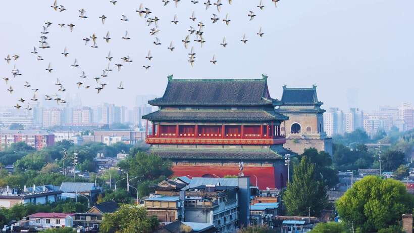 Beijing: Hutong Private Tour - Rickshaw Ride & English Guide - Who will enjoy this tour most