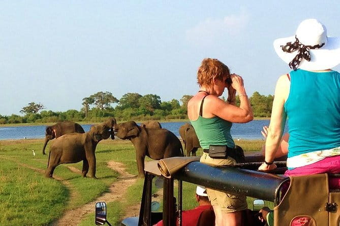 Bentota Tuk Tuk Safari - Why a Private Tuk-Tuk Matters
