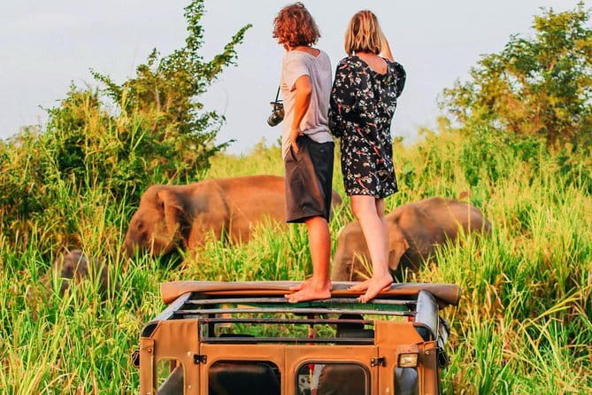 Bentota Tuk Tuk Safari - The Local Service Angle