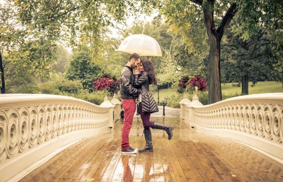 Best of Central Park: Top-Rated Pedicab Tour NYC - Cherry Hill and the Lake views