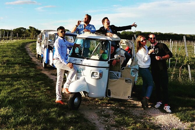 Best of Vienna Tour in TUK TUK! - Who will get the most from this ride?