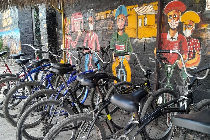 Bicycle or Tuk Tuk Soweto Guided Experience - Hector Pieterson Museum and the 1976 uprising