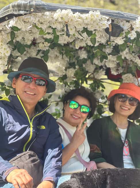 Central Park: Guided 1.5-hour Movie & Celebrity Pedicab Tour - Who should book this Central Park tour