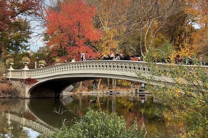 Central Park Guided Tours Pedicab - Bethesda Terrace and the Minton tile ceiling