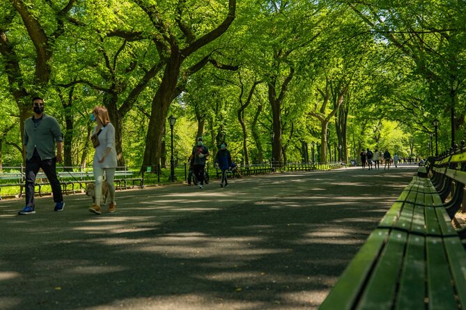 Central Park Guided Tours Pedicab - Bow Bridge and the Lake