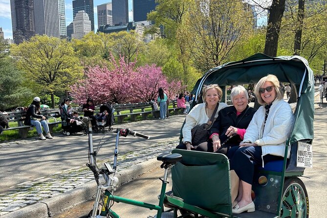 Central Park Movie Locations and Celebrity Homes Pedicab Tour - Who should book this Central Park pedicab tour?