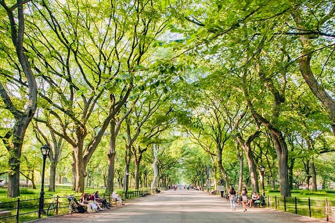 Central Park Pedicab Guided Tours - 1, 1.5 & 2Hrs - Belvedere Castle and the best high view