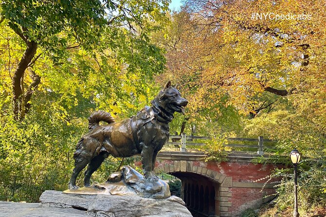 Central Park Pedicab Rickshaw Tours - Bethesda Fountain, the Parks Main Stage