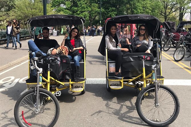 Central Park Pedicab Tour with Guide - The carousel, Wollman Rink, and a first taste of the park