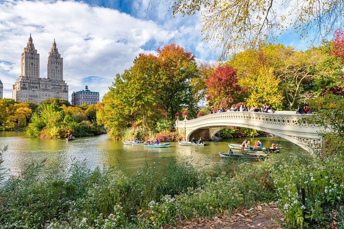 Central Park Pedicab Tour with local Guide - Bethesda Terrace and the park’s cinematic heart