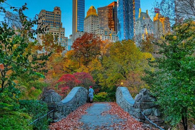 Central Park Pedicab Tours - History and Movie Locations - Bethesda Fountain and Terrace