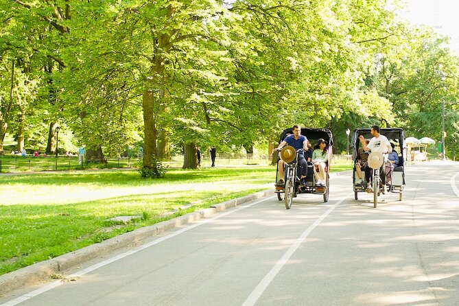 Central Park Private Pedicab Tour - Key points at a glance